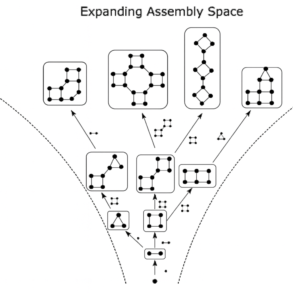 Convergent Evolution visualization